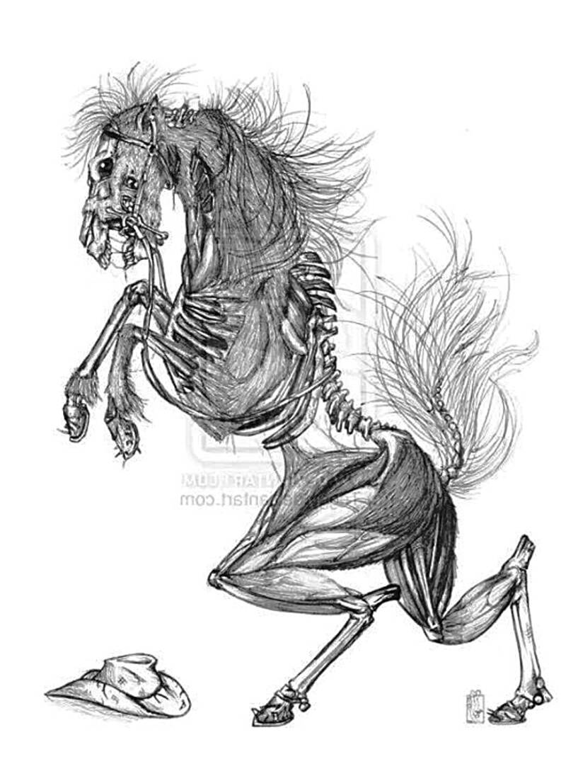 wild-horse-standard.jpg