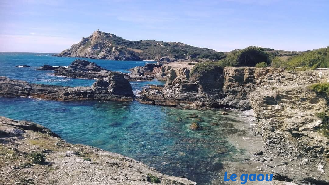 le gaou six fours les plages