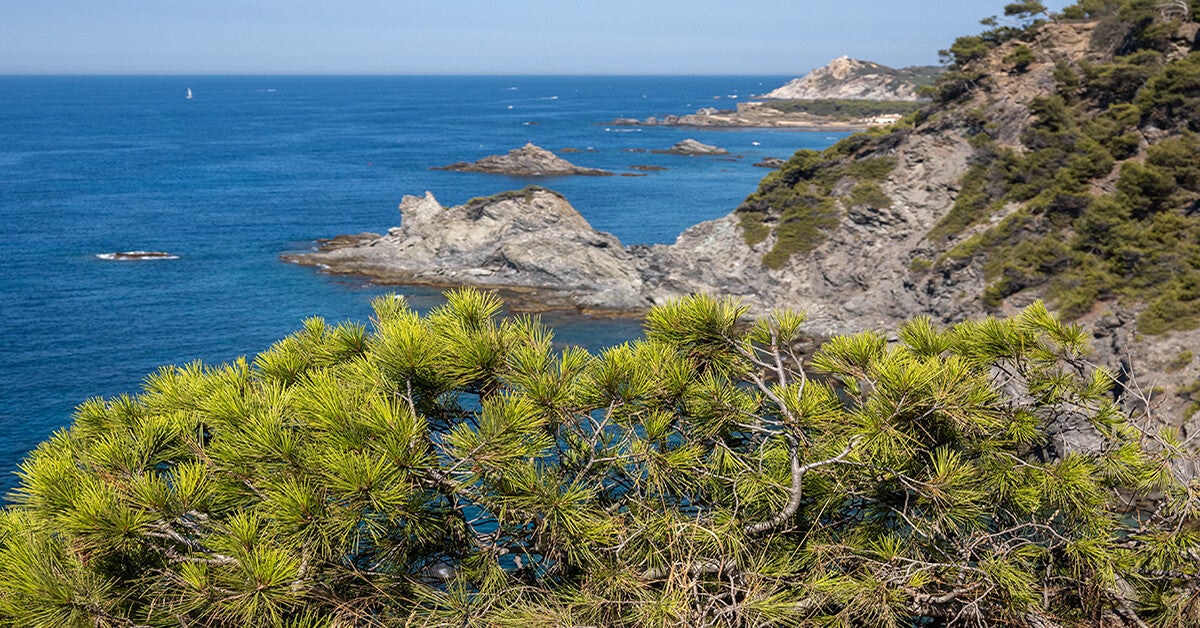 six fours les plages
