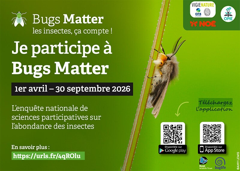 Campagne Bugs Matter