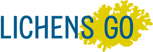 Logo de Lichens GO