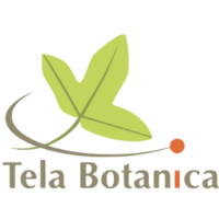 Logo Tela Botanica