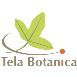 Logo Tela Botanica