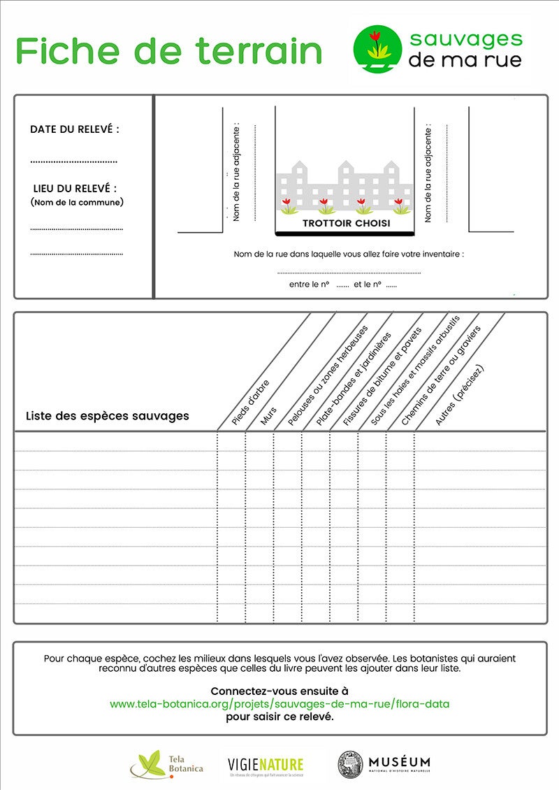 Fiche de Terrain Sauvages de ma rue 