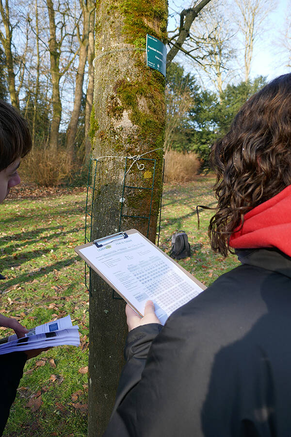 Etuidants réalisant le programme LIichens GO