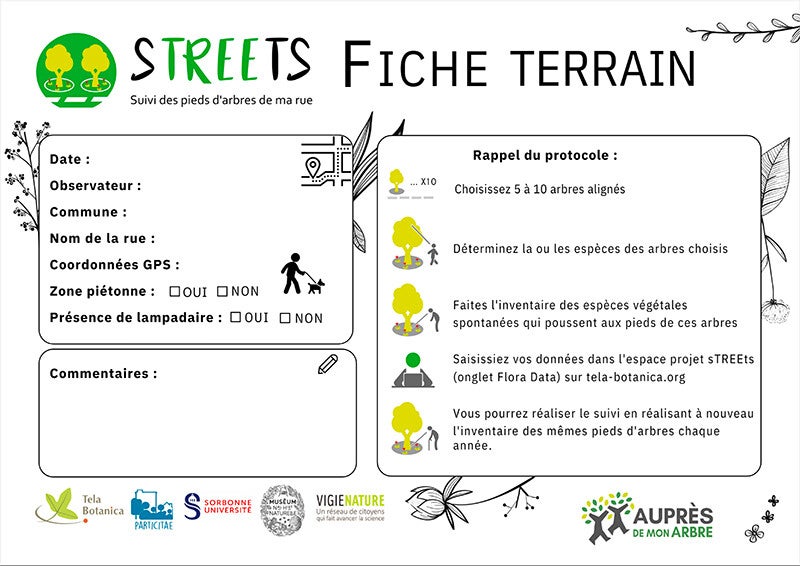 FIche de Terrain sTREEts