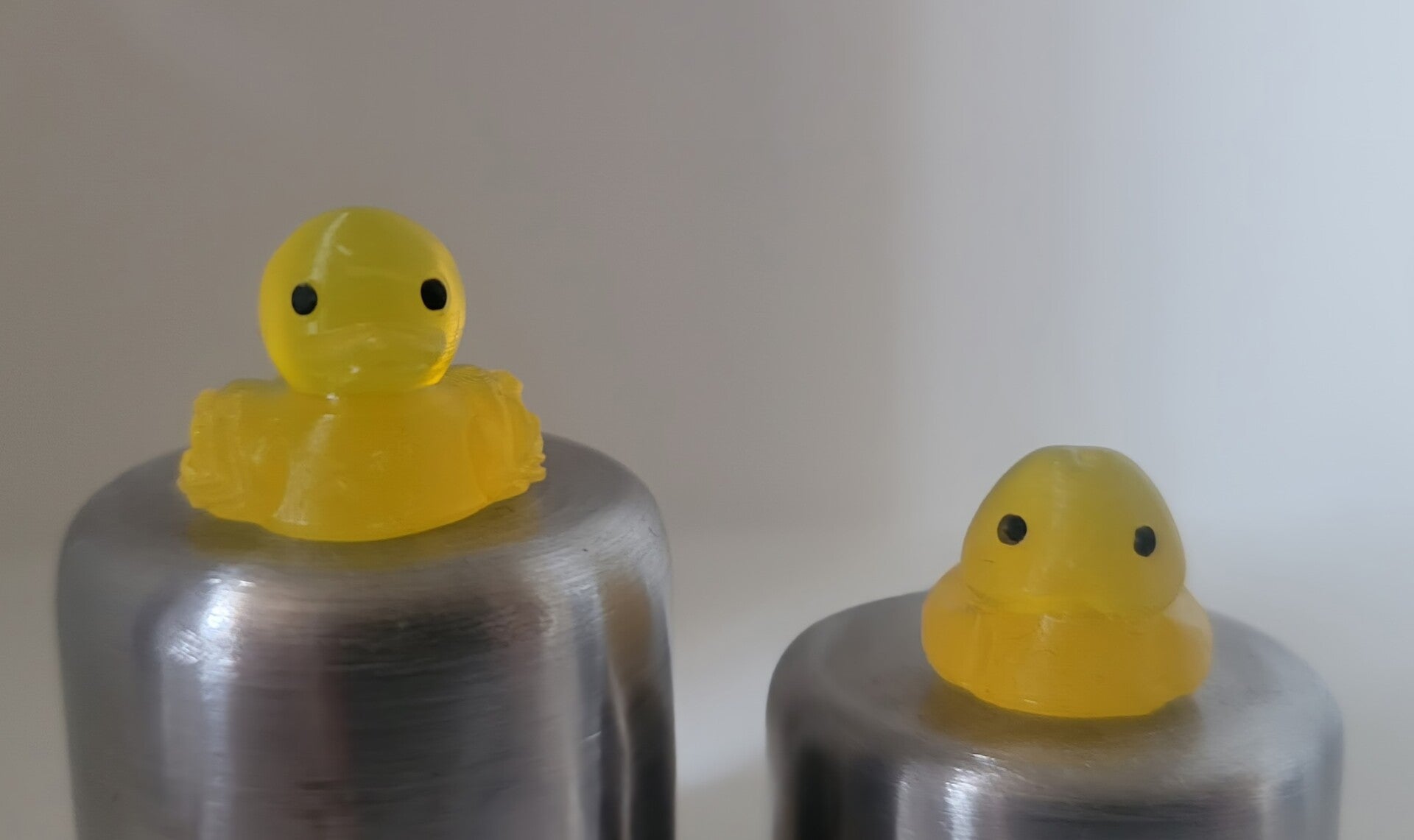 Mini Entchen Weiblich