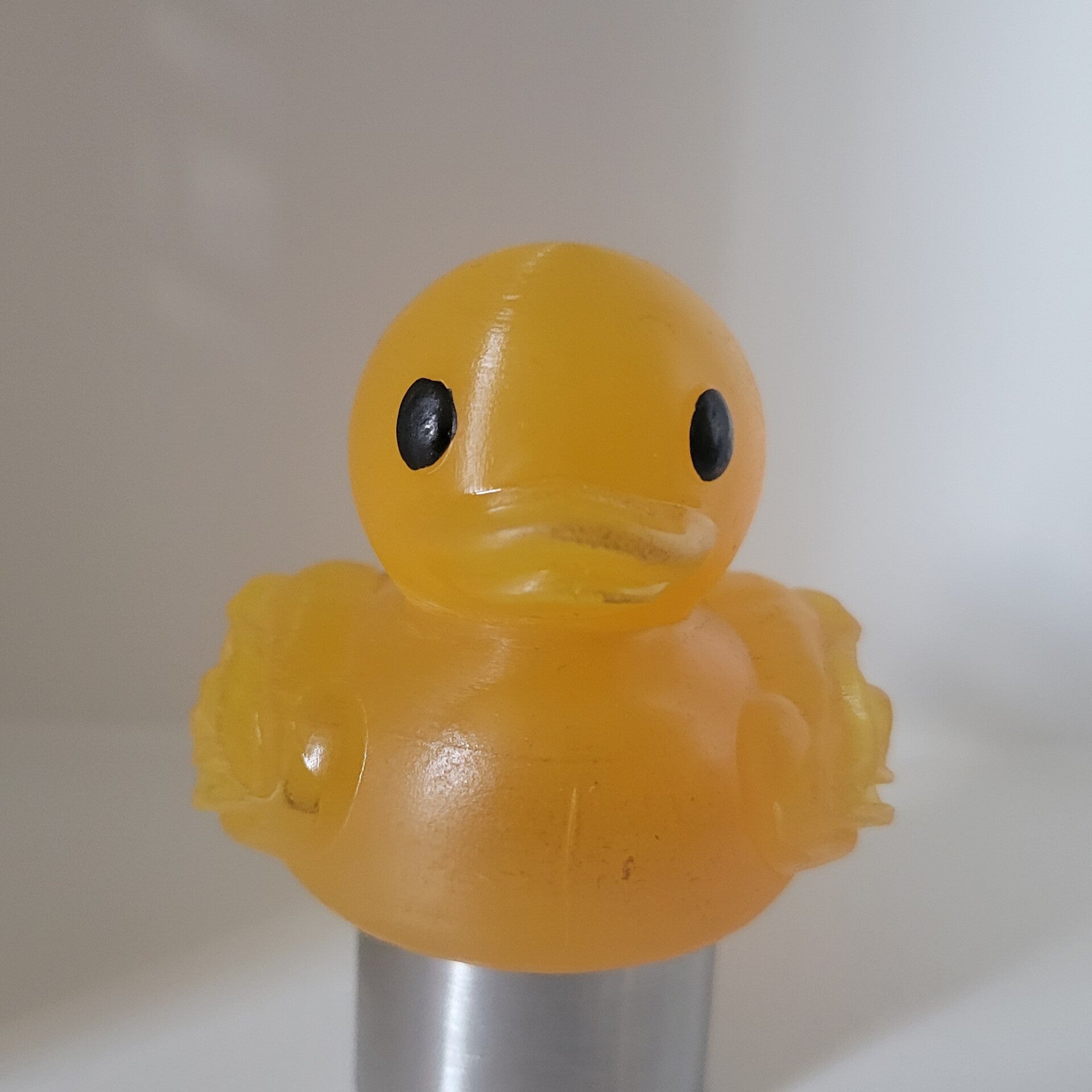 Ente Weiblich