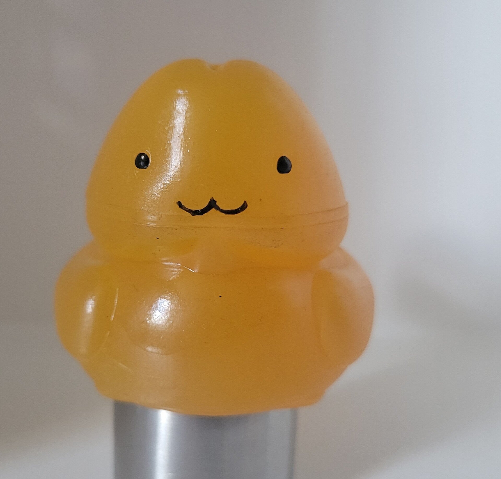 Ente Männlich