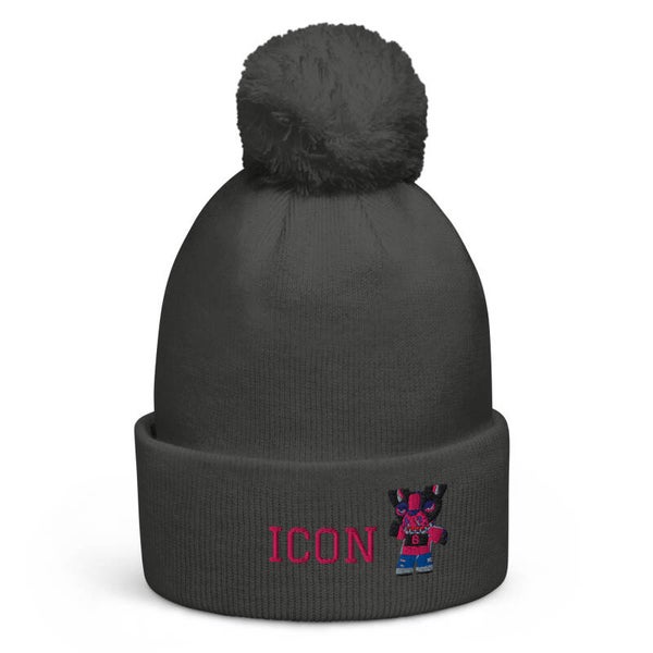 BERRETTO CON POMPON ICON
