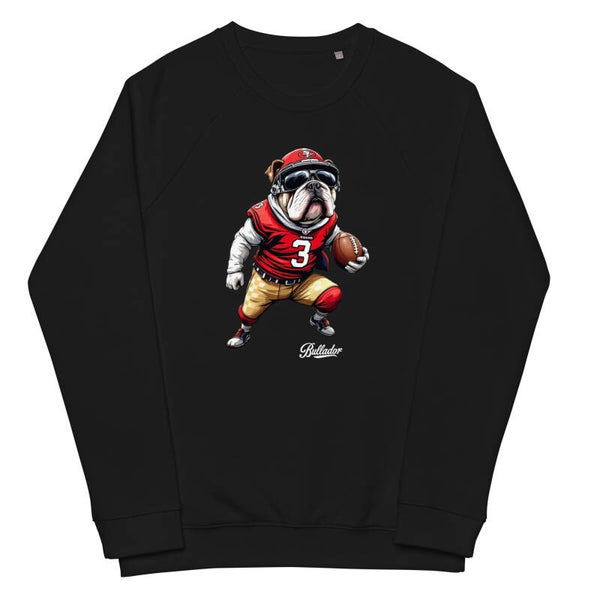 FELPA RAGLAN S.F. 49 ERS