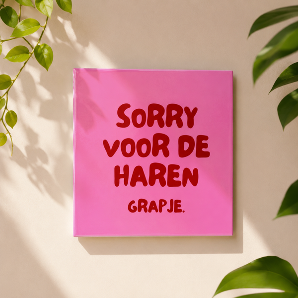 Sorry voor de haren | Tegeltje