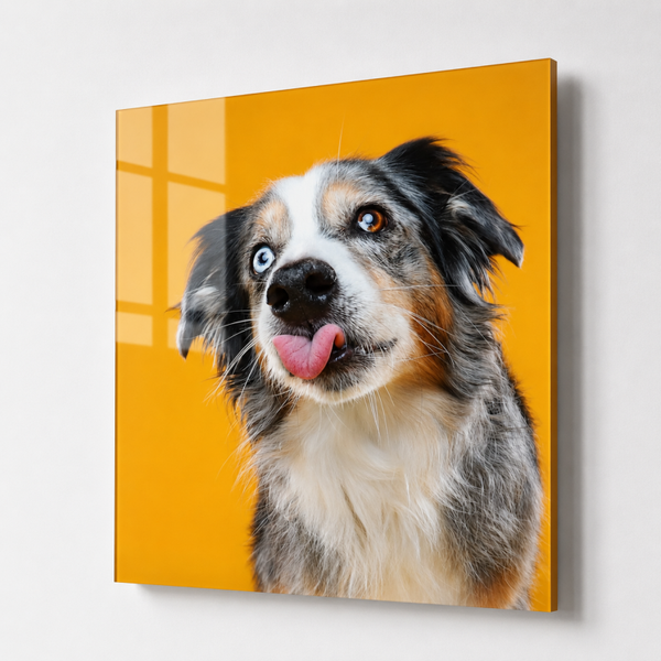 Foto op acrylglas