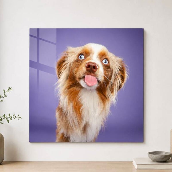 Foto op acrylglas