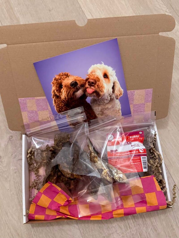 Brievenbuspakket met snacks voor Honden