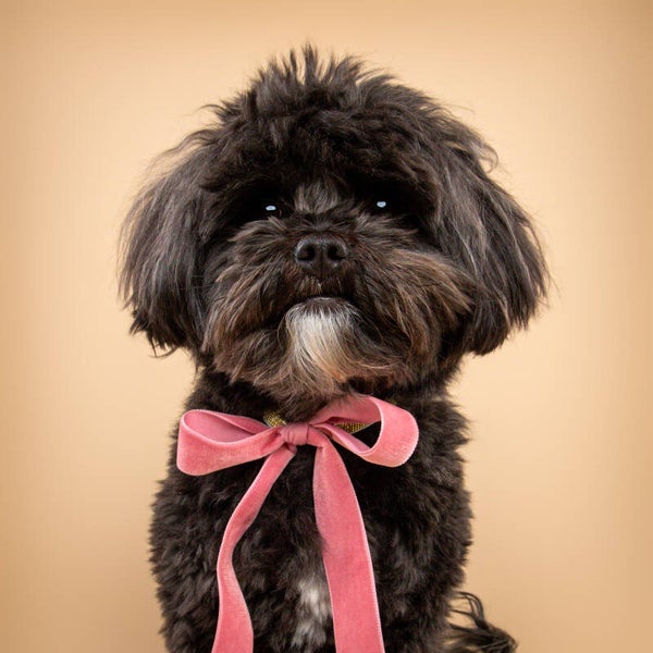 Mini-shoot KC Uden 21 juni 2025