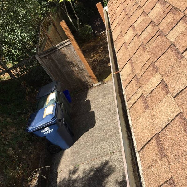 Gutter Cleaning