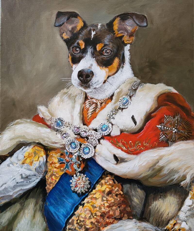 20241126_121712-standard-rsjwlo.jpg