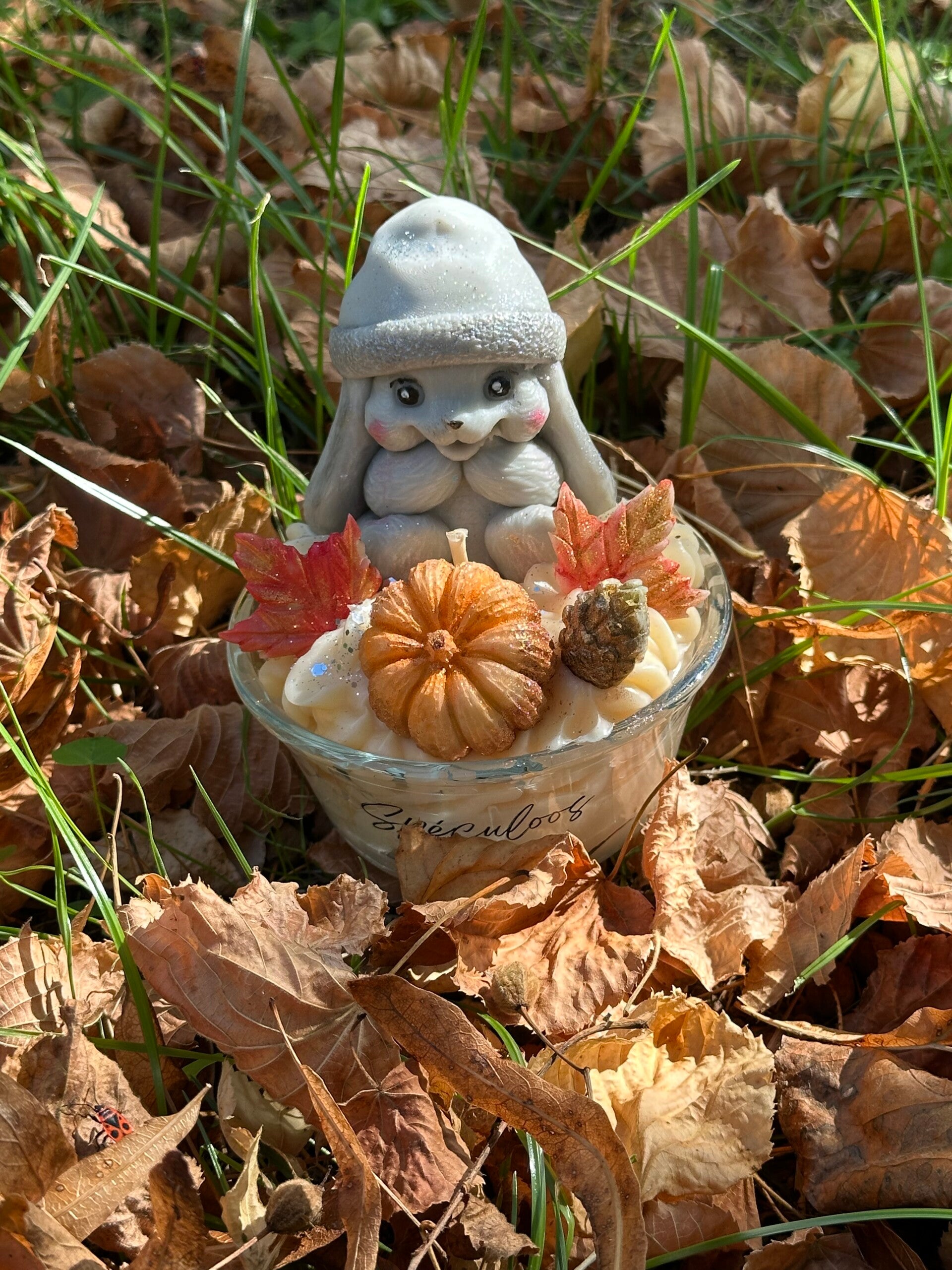 🍂 Petit Cocon d’Automne 🎃🐰
