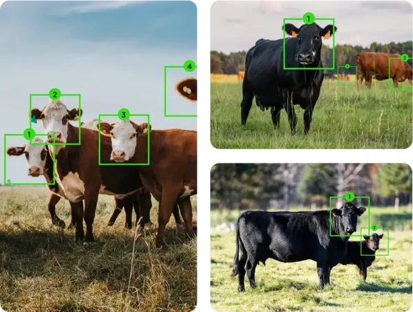 Enterprise Tier: The "Precision Ranching" Package