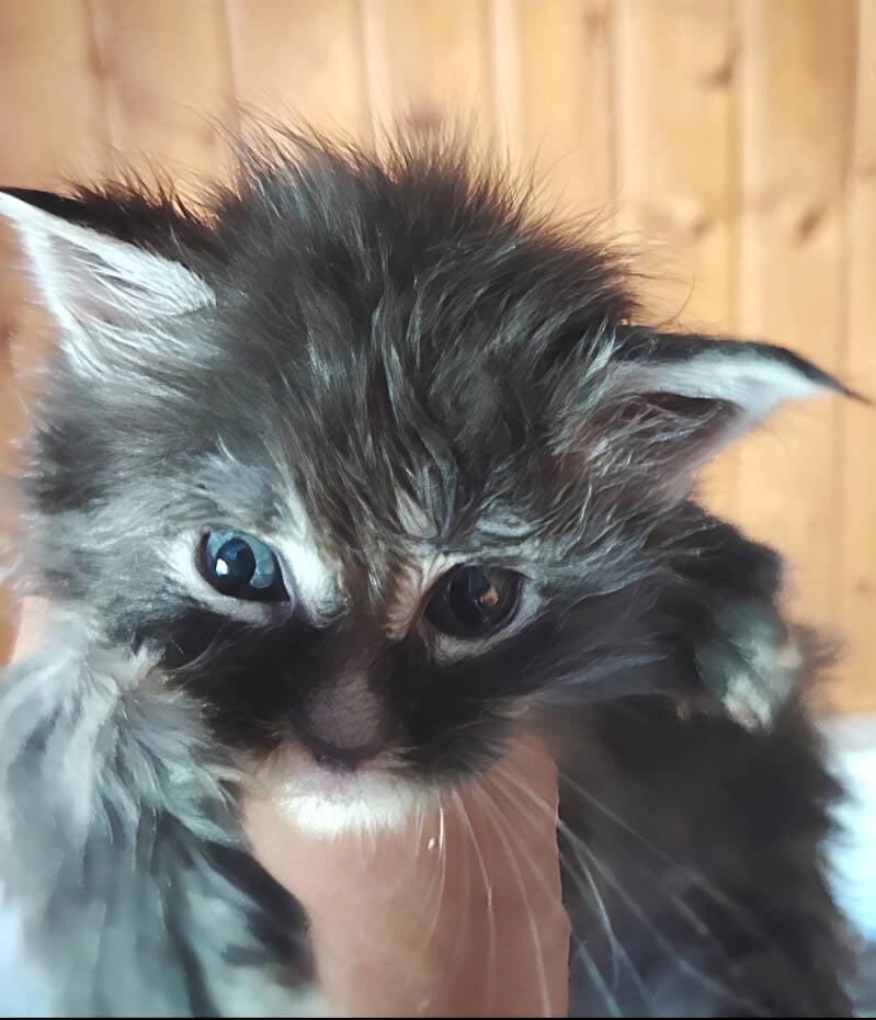 161199-standard.jpg