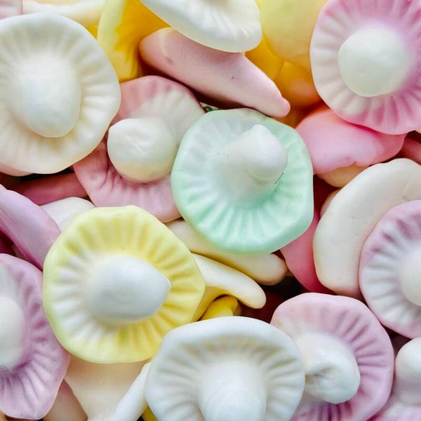 Champignons