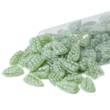 Eucalyptus