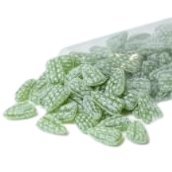 Eucalyptus