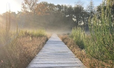 Stress Support Burn-out coaching