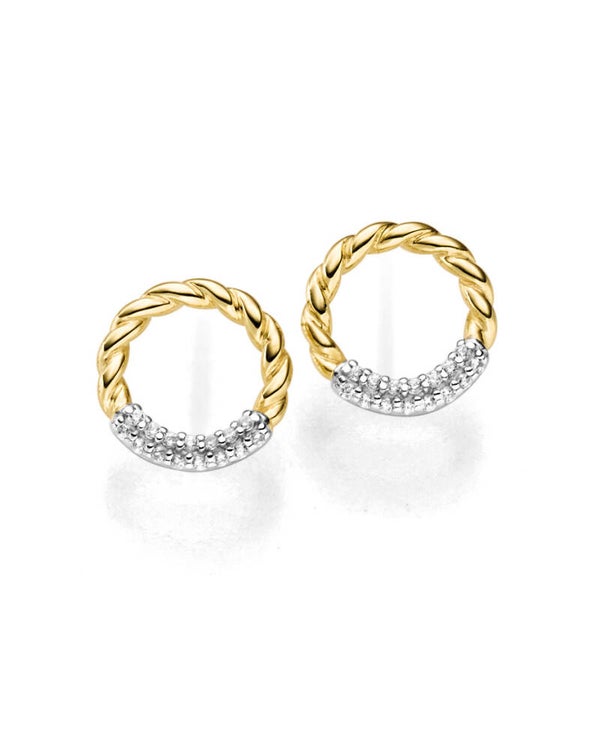 Funkelnde Ohrstecker – 925er Silber rhodiniert & vergoldet mit Zirkonia