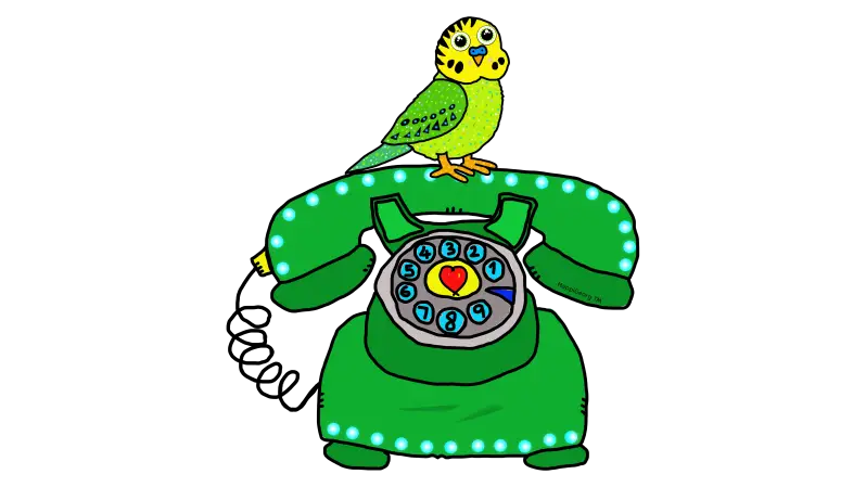 Kontakt Telefon Undulat HappiGeorg