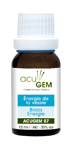 €18.90 - 07-meridiaan-blaas - 15-ml