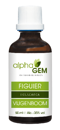€26.95 - vijg - 50ml