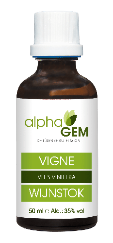 €26.95 - wijnstok - 50ml