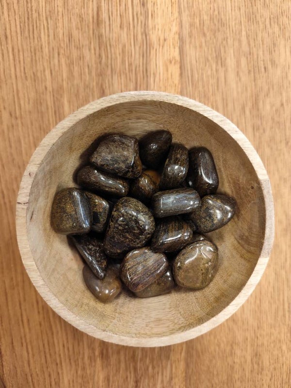 Bronzite