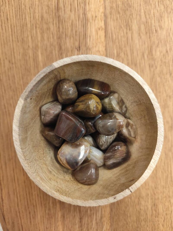 Bois fossilisé