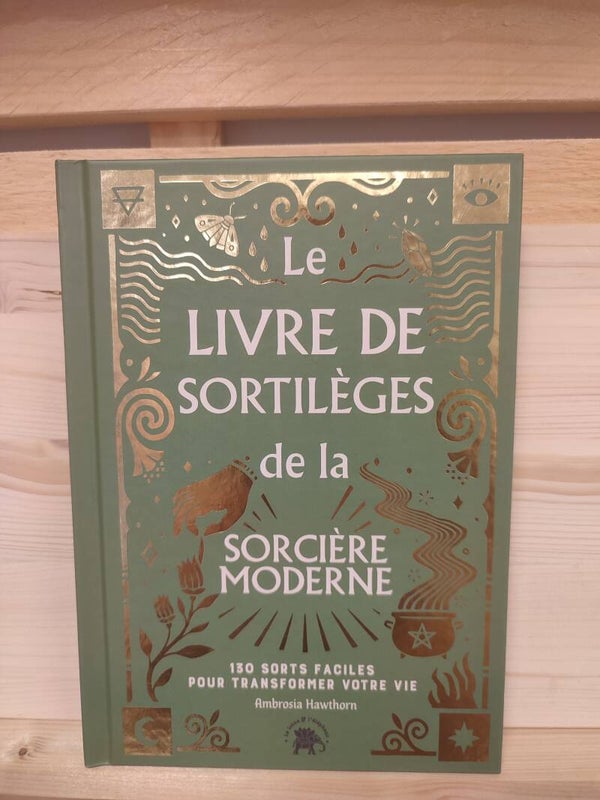La sorcière moderne