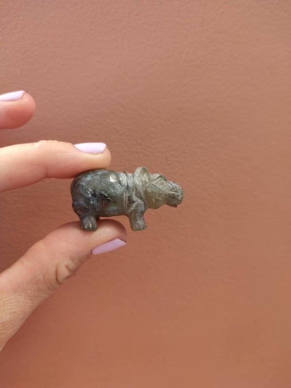 Hippo Labradorite