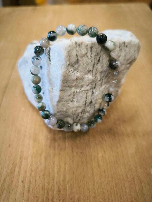 Agate arbre ☀️