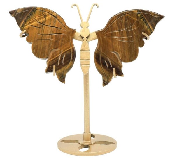 Papillon Oeil de Tigre