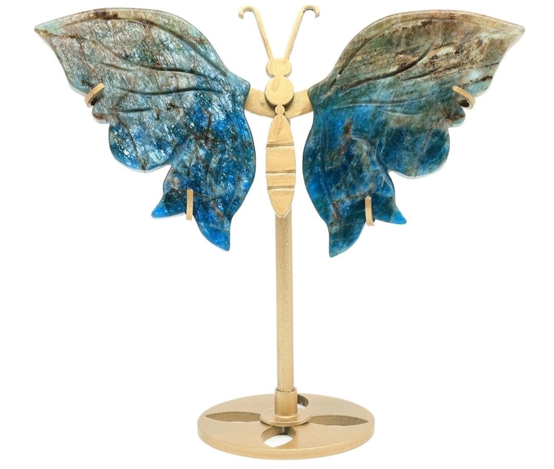 Papillon Apatite Bleue