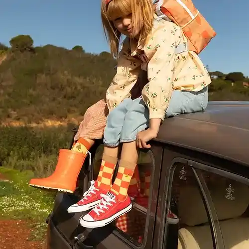 Sticky Lemon Socken "Farmhouse"