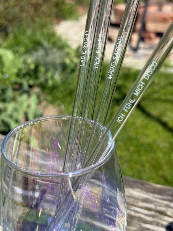 Glasstrohhalme 4er Set klar