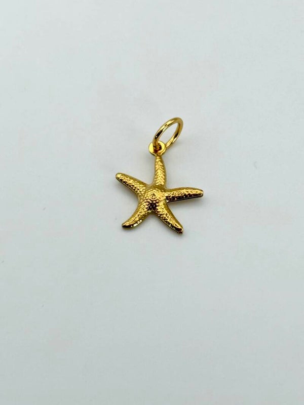 SMUK BI Charm "Seestern"