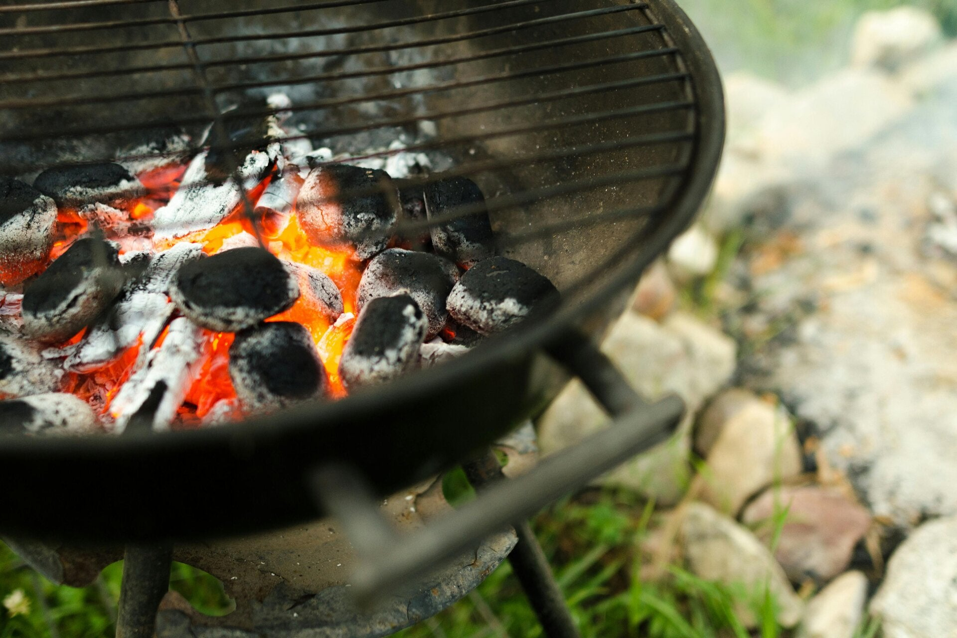 Symbolbild Grillen mit taste'n'teach