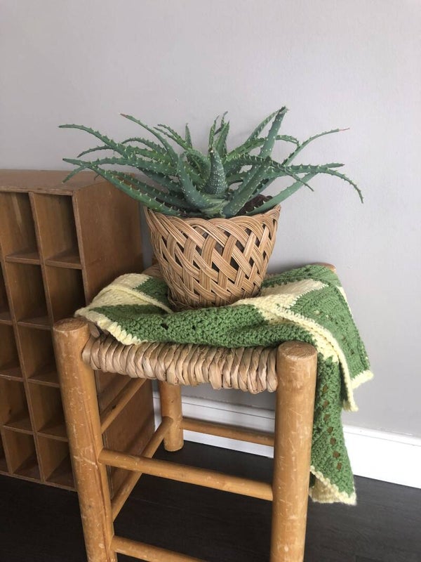Rotan planten mand