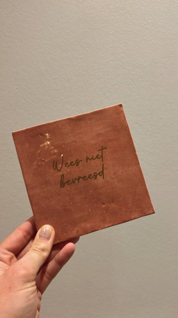 Tegeltje roze wees niet bevreesd