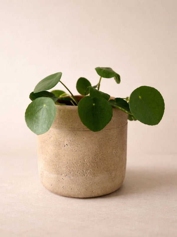 Aardewerk pot beige