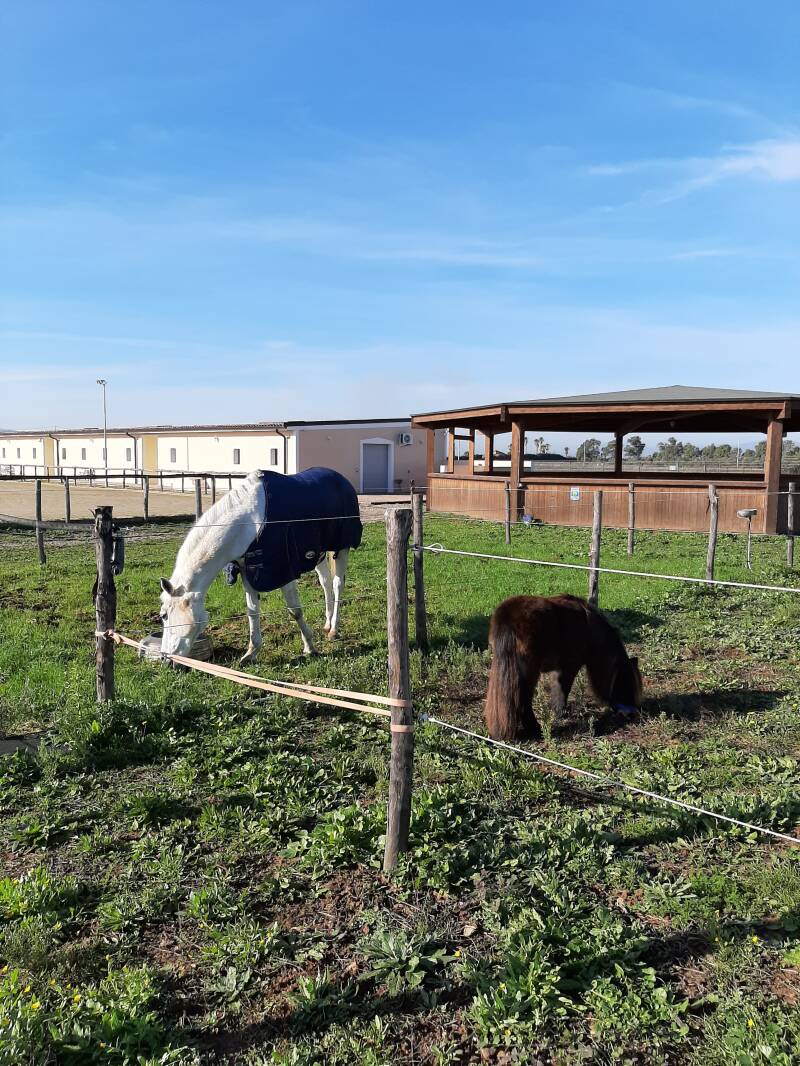 Marpione e Marah
