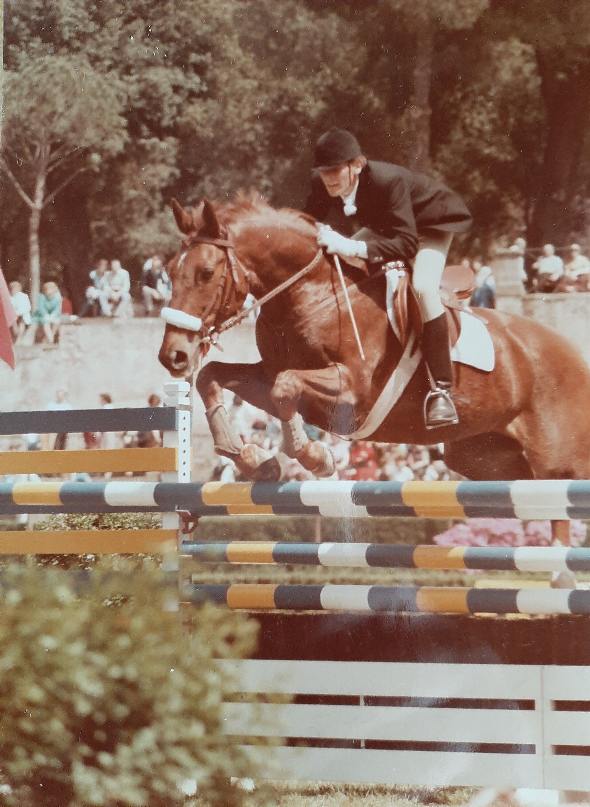 Quiroso